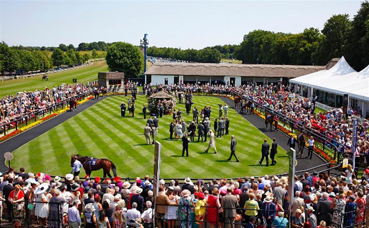 Parade Ring at The July Course