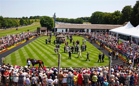 Parade Ring at The July Course