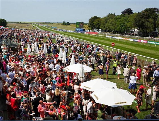 The Pink Bar at The July Course