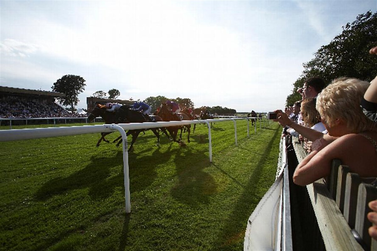 View from Trackside Pavilions