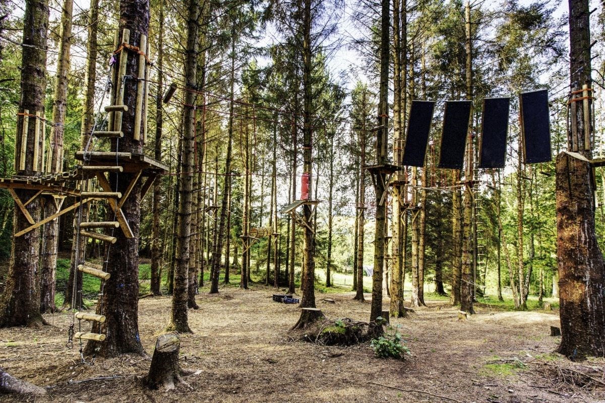 Aloft! tree top adventure course 
