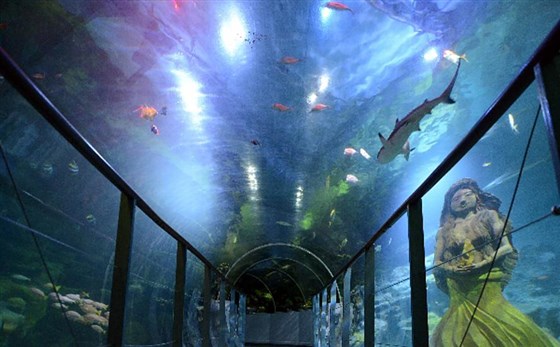 Ocean Tunnel