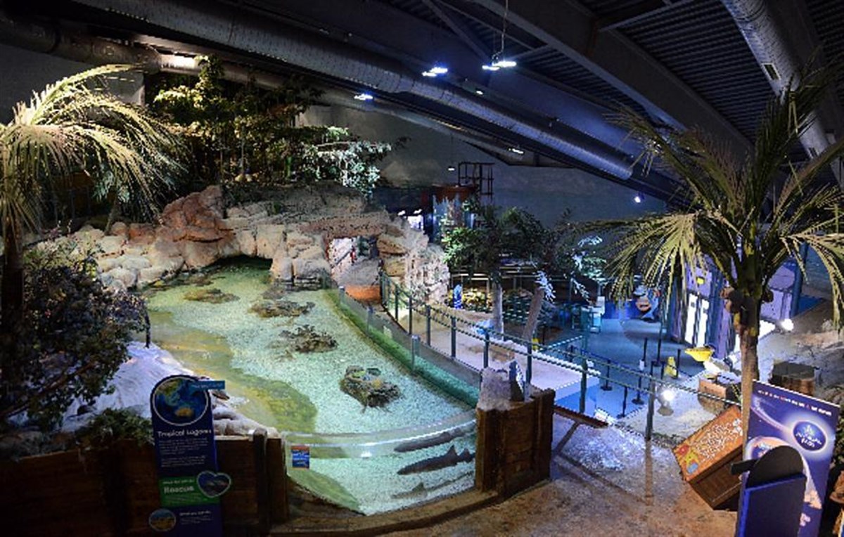 View over shark lagoon