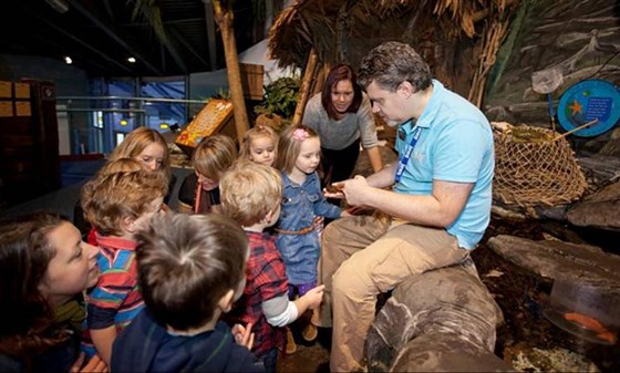 Interactive Rockpool