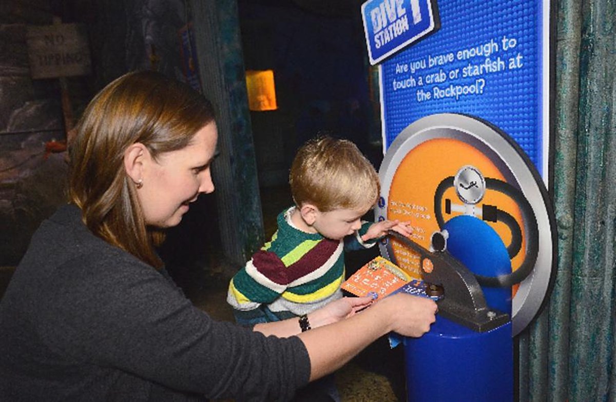 Interactive Quiz Trail