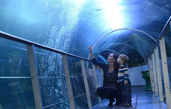 The UKs ONLY 360 Ocean Tunnel