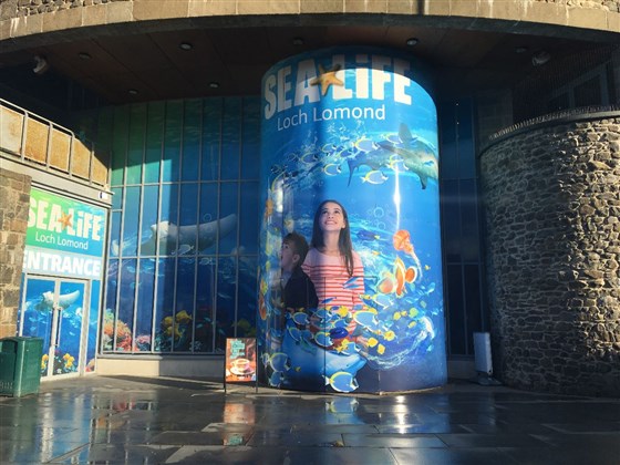 SEA LIFE Loch Lomond Aquarium - Balloch | Attractions &amp; Activities ...