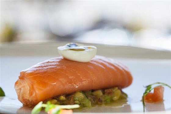 Salmon