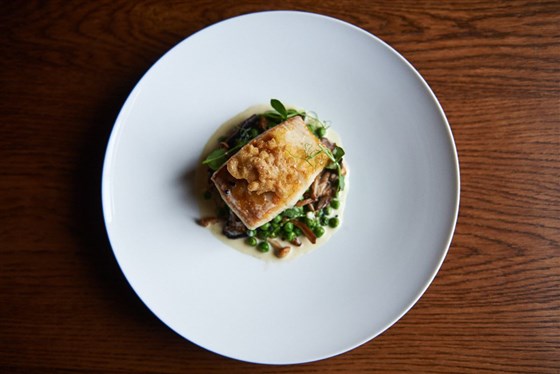 Main Course