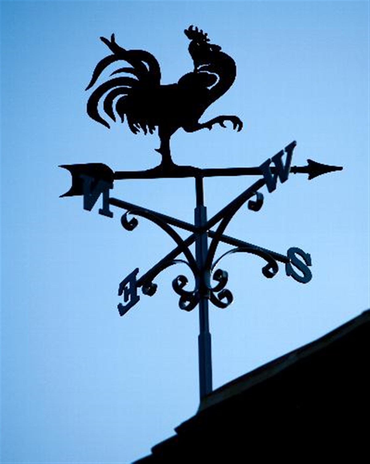 weather vane, The Wellington Arms 