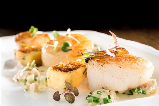 Fresh Scallops 