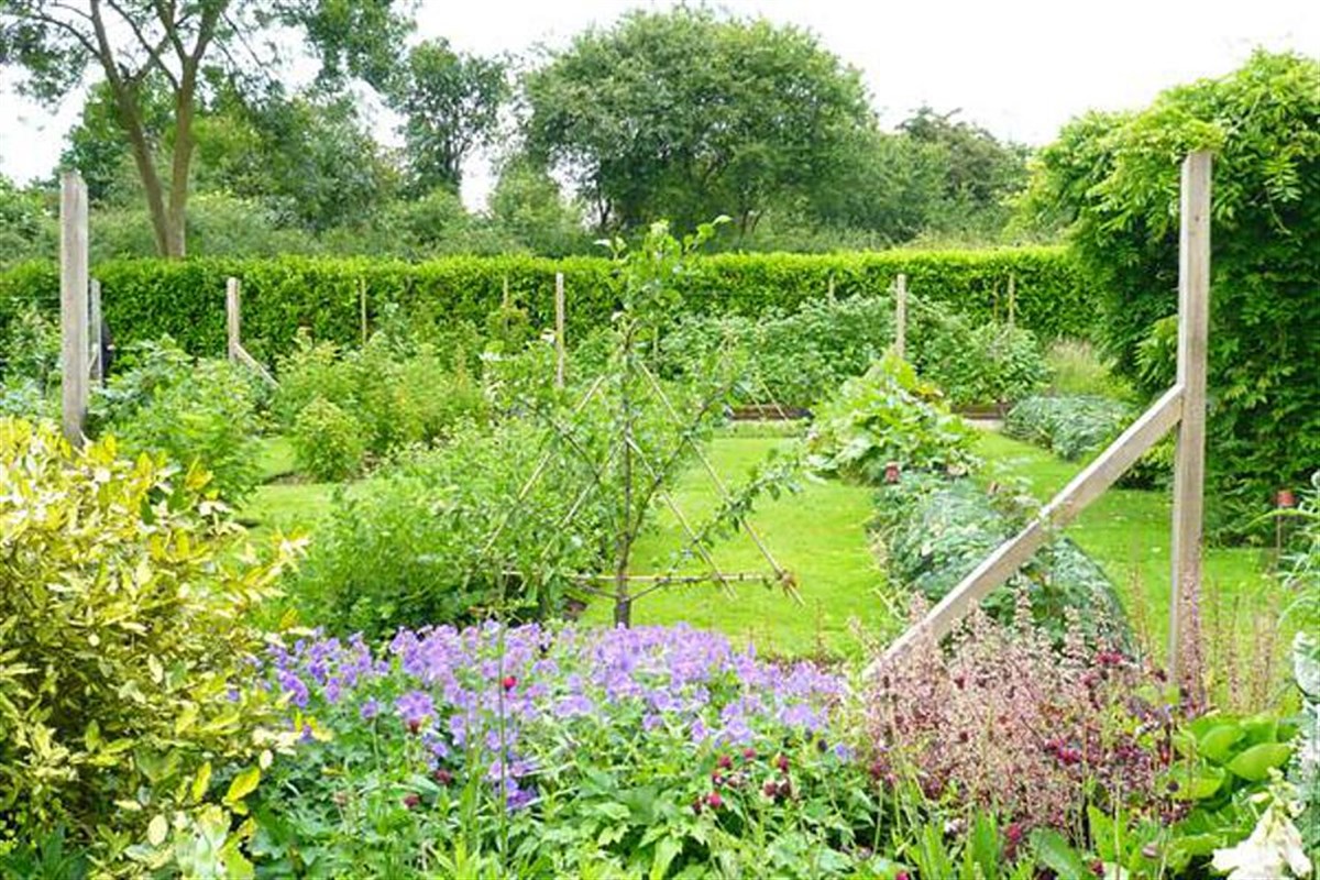 the soft fruit beds
