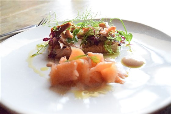 Salmon starter