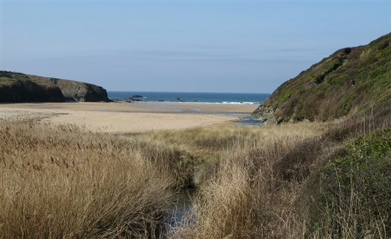 Porthcothan beach in early Spring.