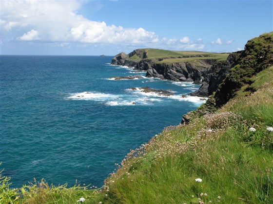 Towards Stepper Point (Coast Path walk Porthcothan to Padstow)
