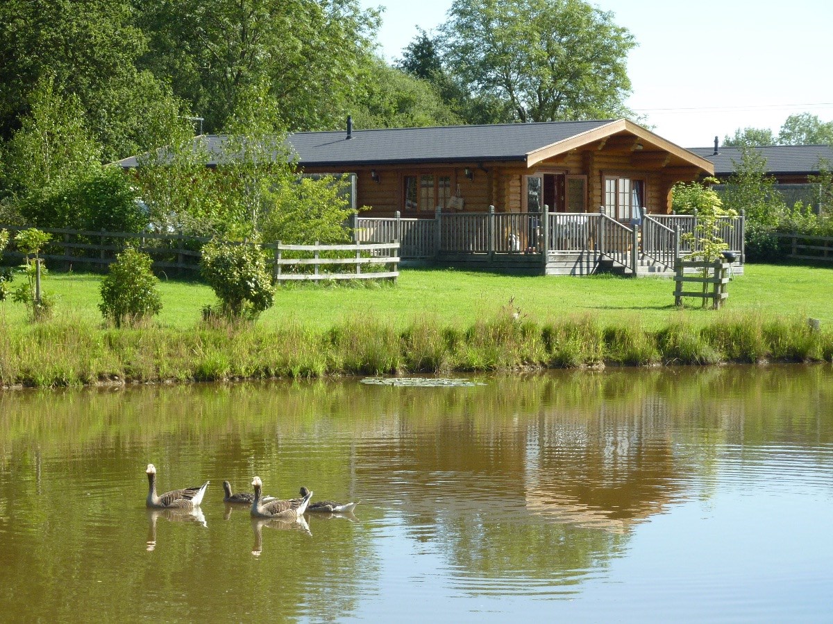 Stretton Lake Lodges