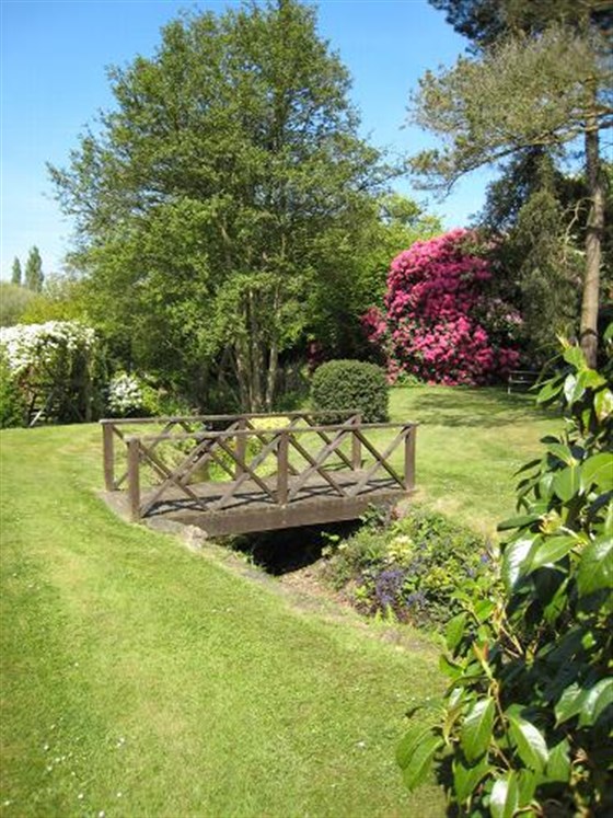 Bridge over stream