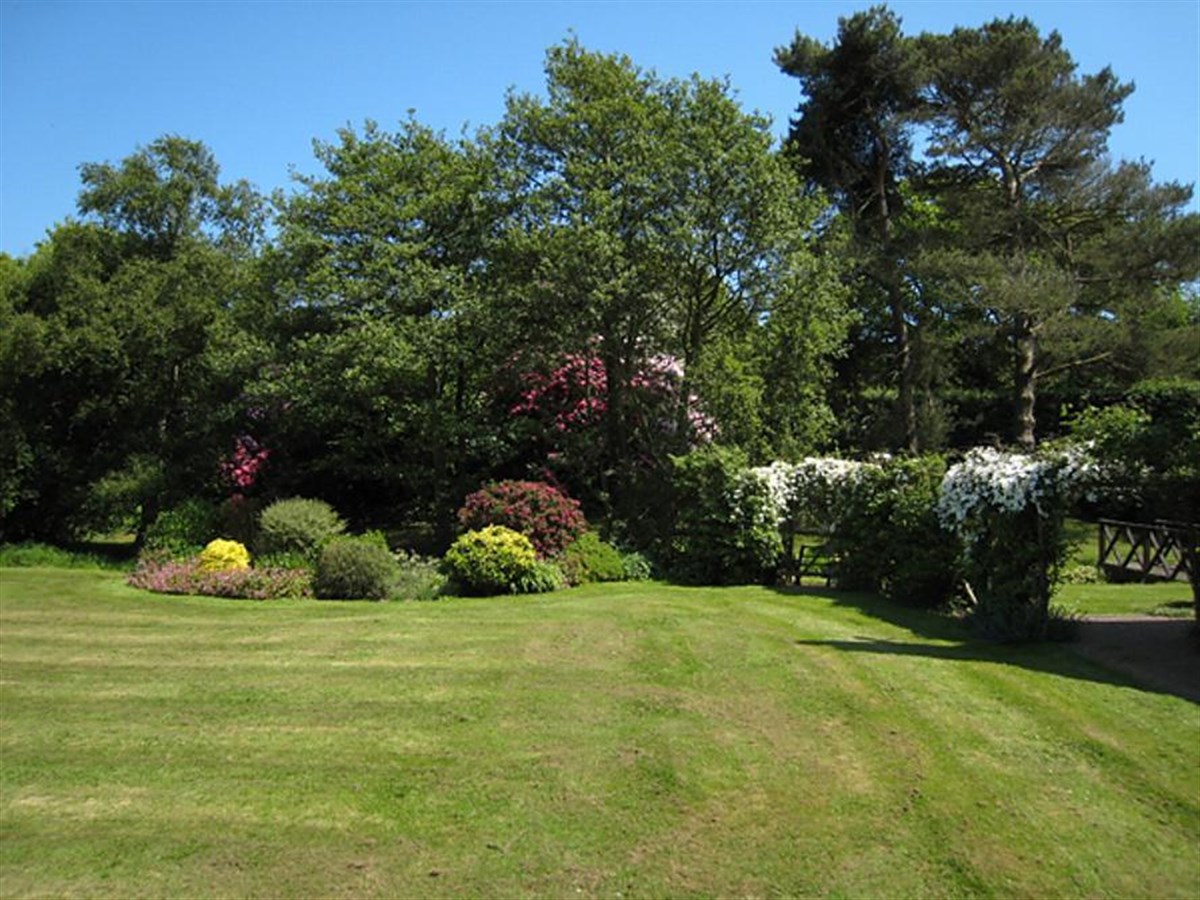 Grounds