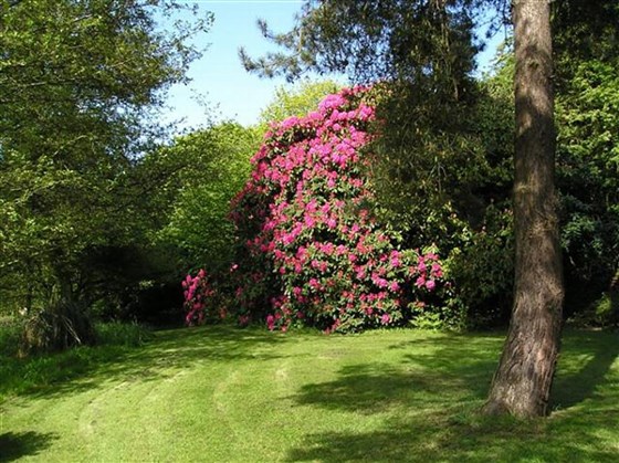 Grounds