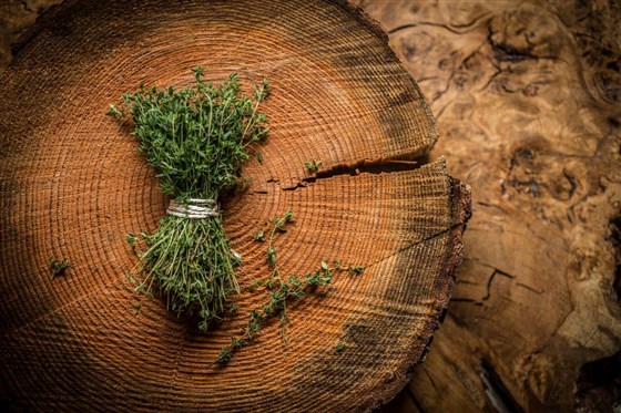 Hand-Picked Herbs From Our Kitchen Garden