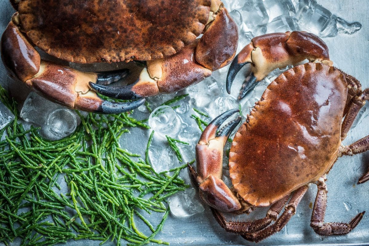 Locally Caught Crab From Lymington