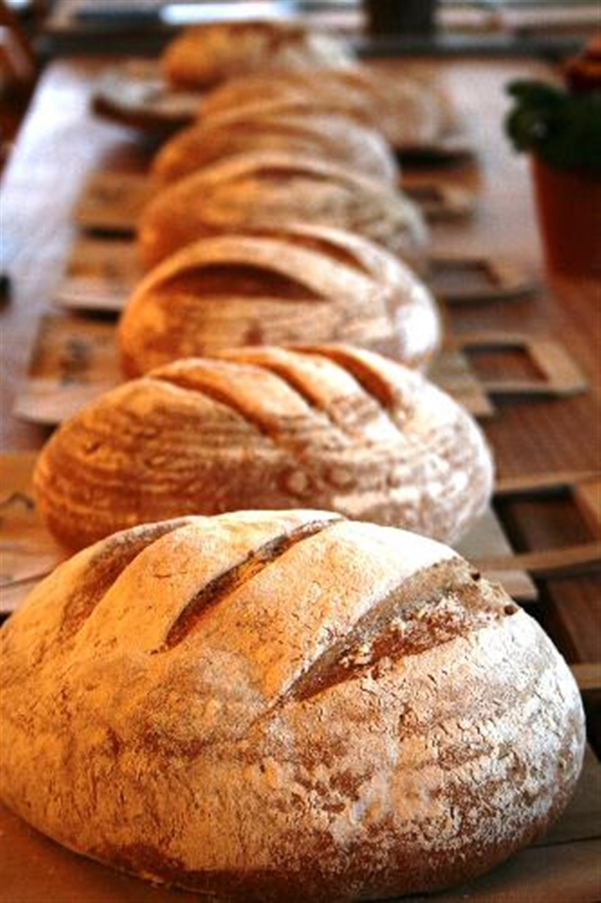 Bread Making Cookery Course