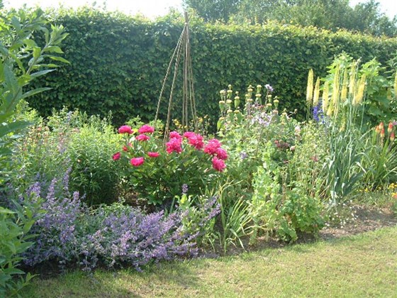 Herbaceous border