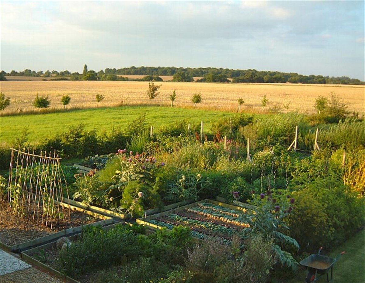 Kitchen Garden