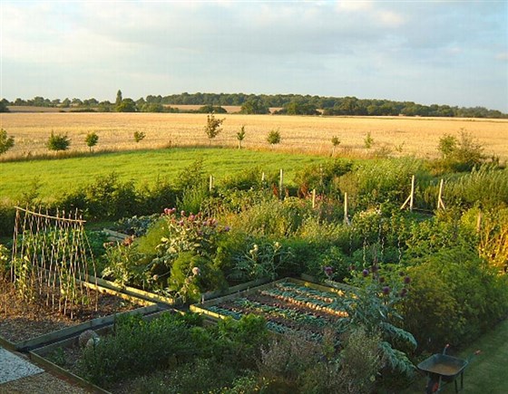 Kitchen Garden