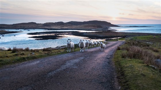 Evening light above The Brochs
