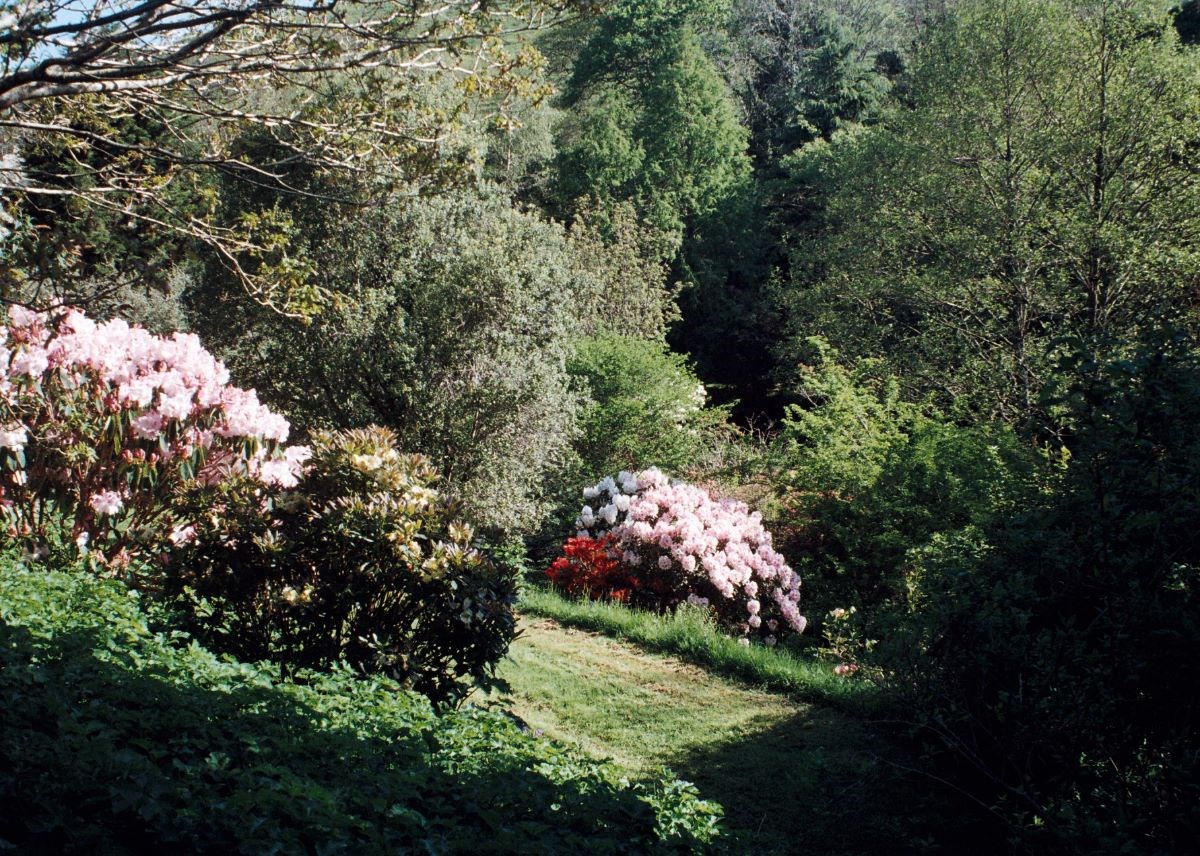 side valley