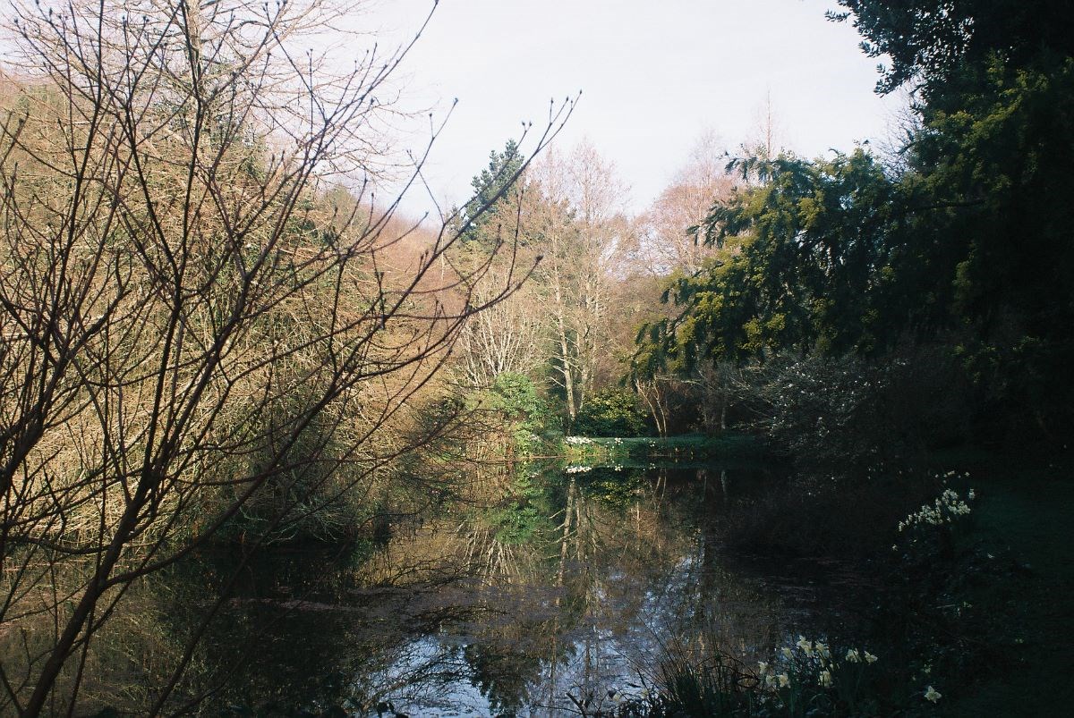 the lake in January