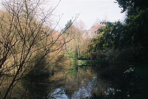 the lake in January