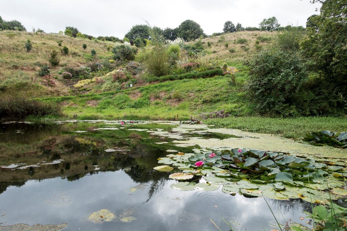 early image of the Moon pond