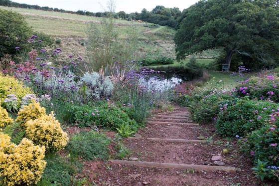 stepped garden leading to the Moon Pond in August