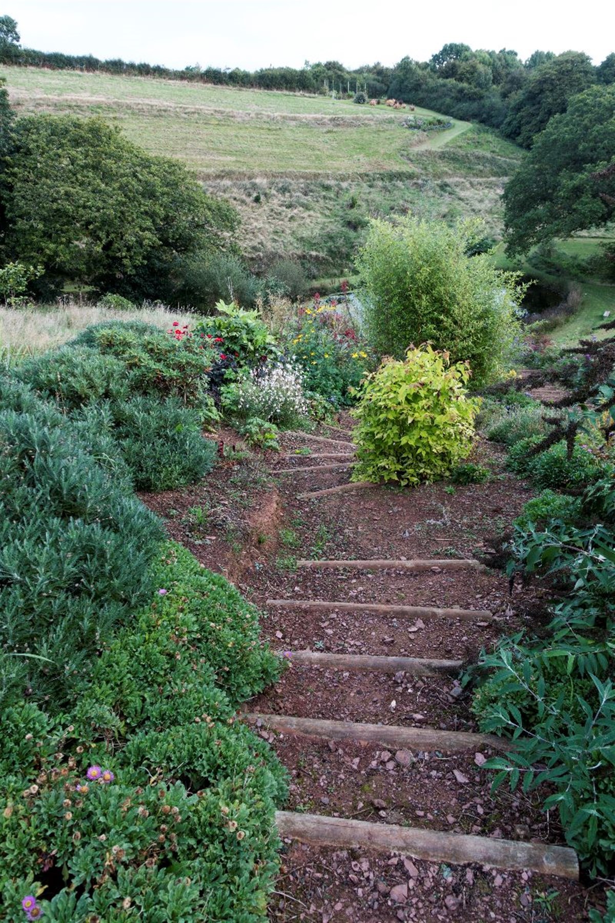 early image of steps