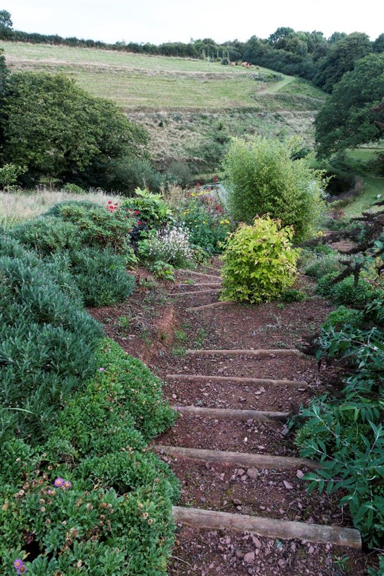 early image of steps
