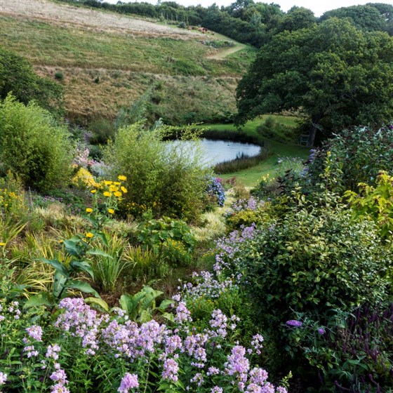 Moon pond from valley steps
