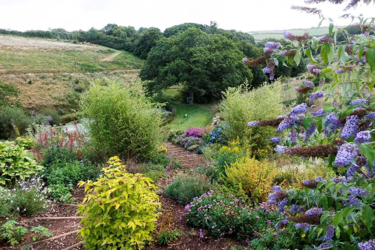 steps garden  August