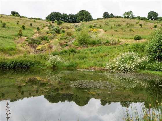 early image of Moon Pond