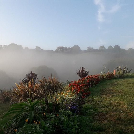from the viewpoint October morning