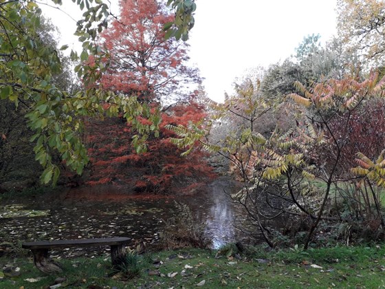 the lake in November