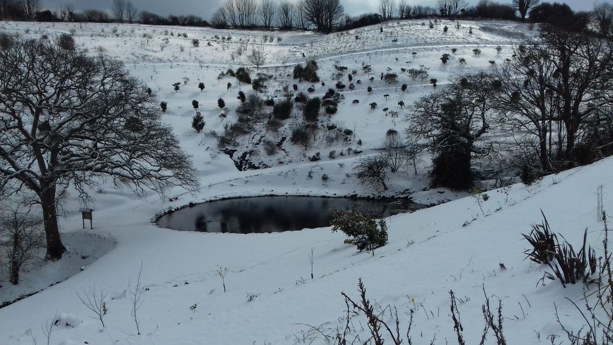 the Moon Pond in March 2018