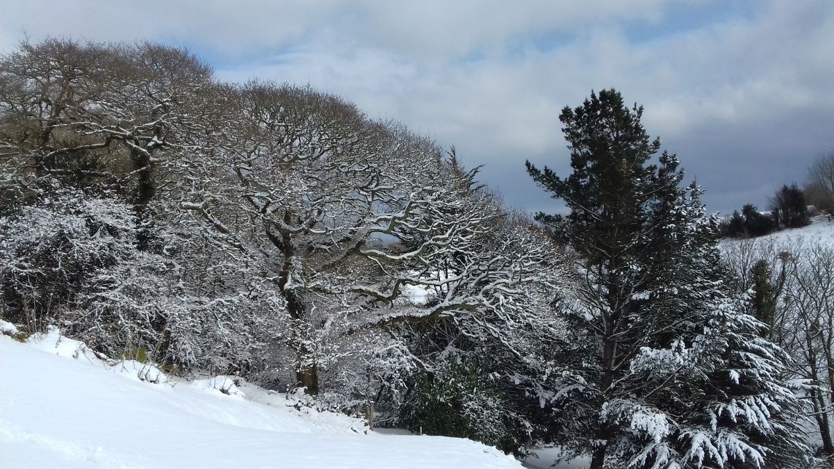 the side valley