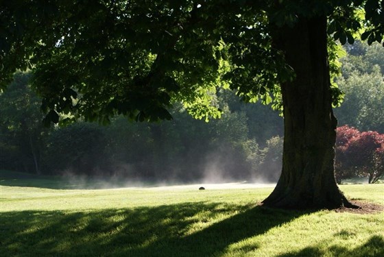 Golf Course
