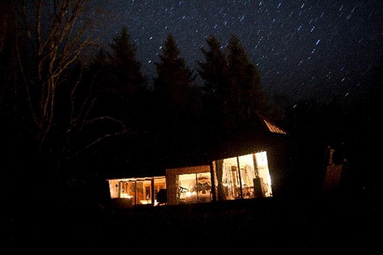 Hide by night