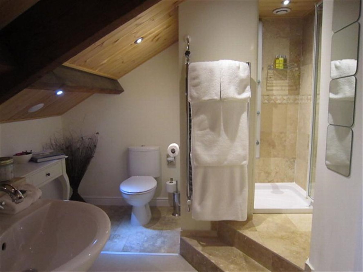 The Wensleydale Suite walk-in shower with body-jets