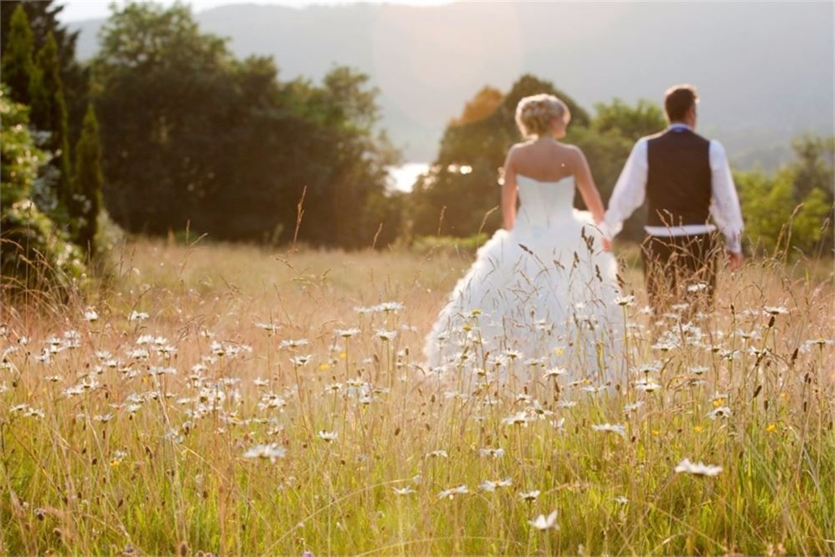 Walking through the meadow