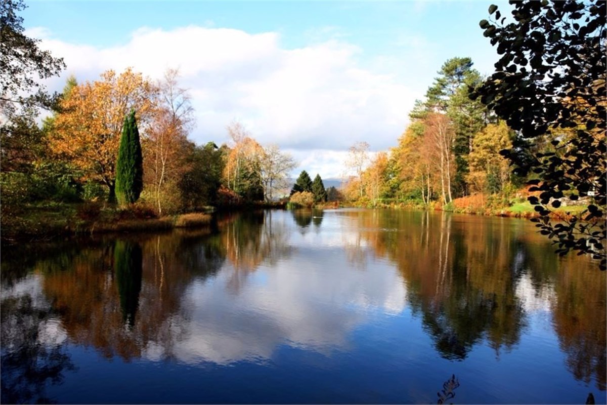 View of the Tarn