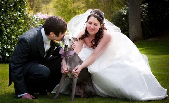 Dog Friendly Wedding Venue | Broadoaks Country House Lake District Wedding Venue